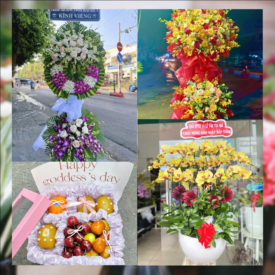 Shop Hoa Tươi Phường Bảo An - Tỉnh Khánh Hòa