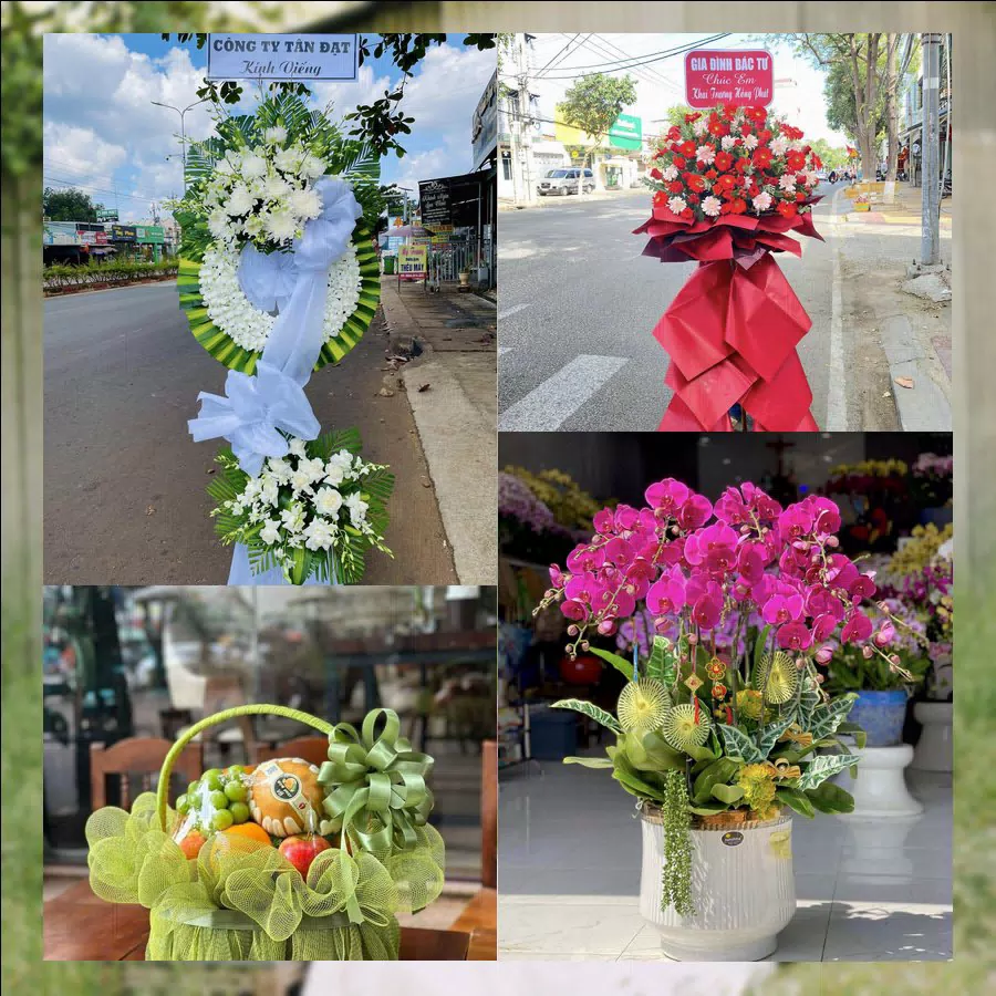Mẫu hoa tươi tại Shop Hoa Tươi Phường Bảo An, Khánh Hòa