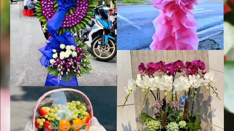 Shop Hoa Tươi Phường Tân Hưng - Thành phố Hải Phòng