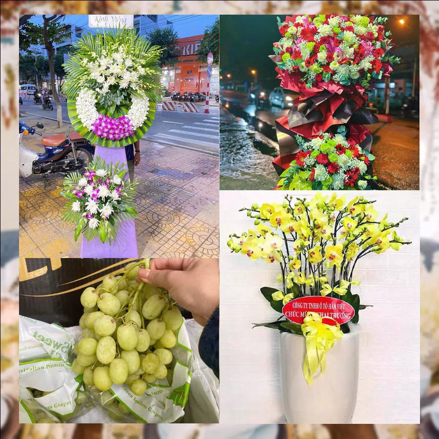 Shop Hoa Tươi Phường Thuận An - Thành phố Huế