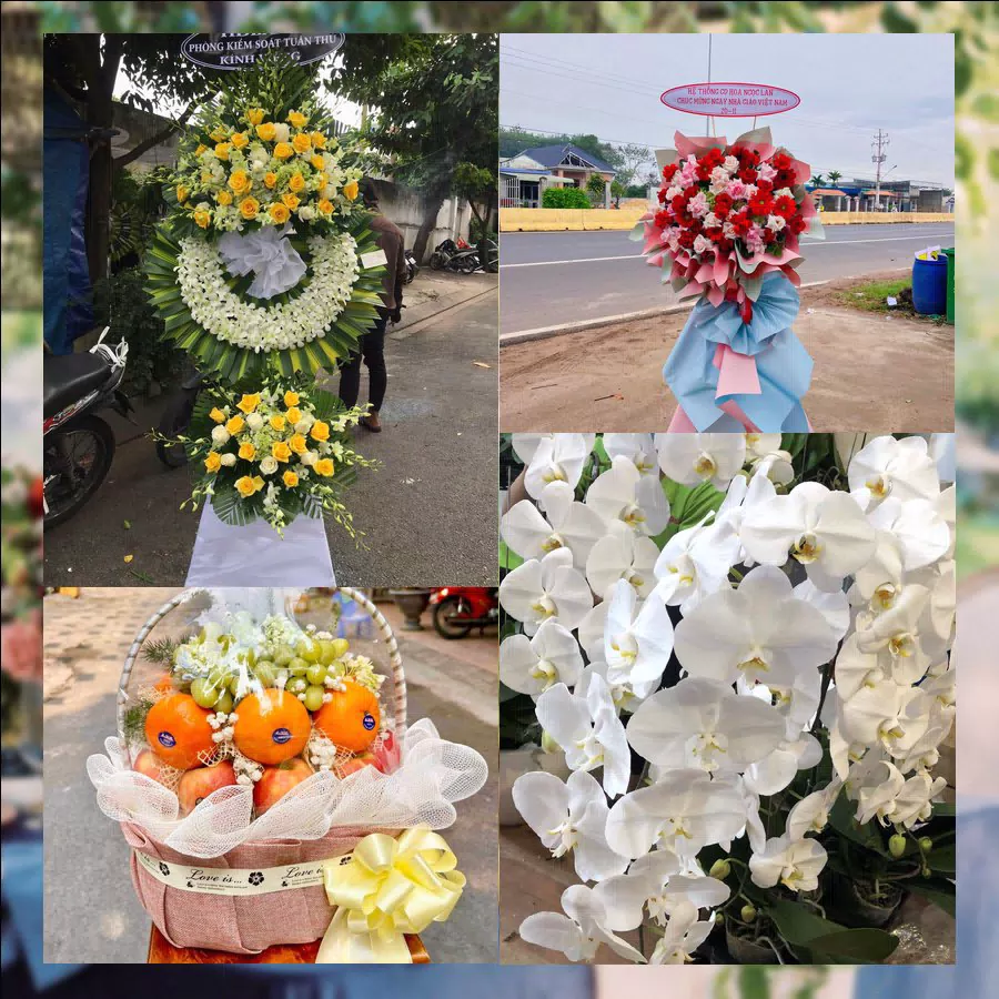 Shop Hoa Tươi Xã Phúc Lộc - Thành phố Hà Nội
