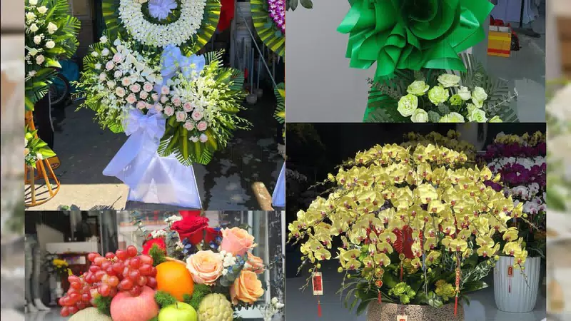 Shop Hoa Tươi Xã Nội Bài - Thành phố Hà Nội