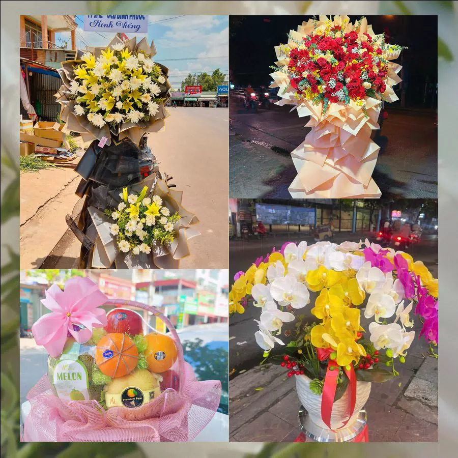 Mẫu hoa tươi tại Shop Hoa Tươi Phường Đông Sơn, Thanh Hóa