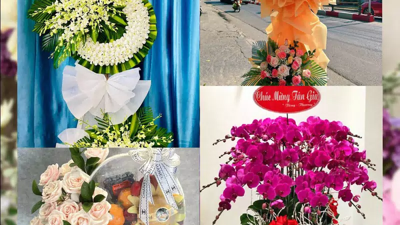 Shop Hoa Tươi Xã Đông Sơn - Tỉnh Quảng Ngãi
