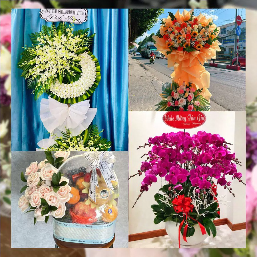 Shop Hoa Tươi Xã Đông Sơn - Tỉnh Quảng Ngãi