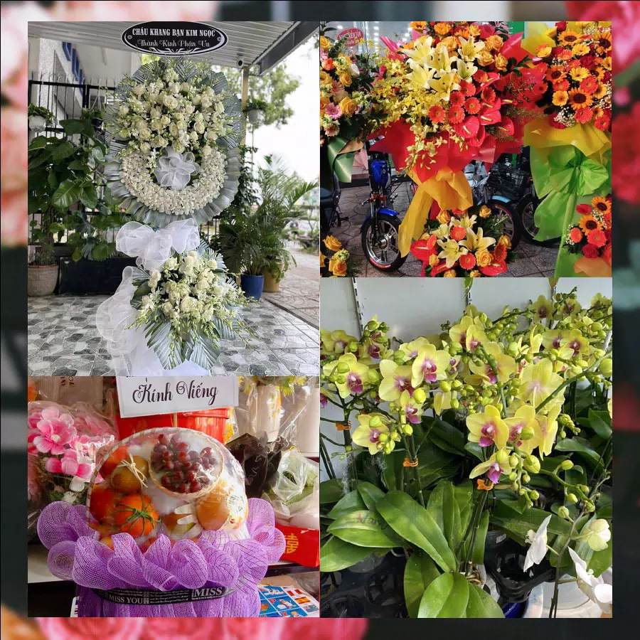 Mẫu hoa tươi tại Shop Hoa Tươi Xã Đông Sơn, Quảng Ngãi