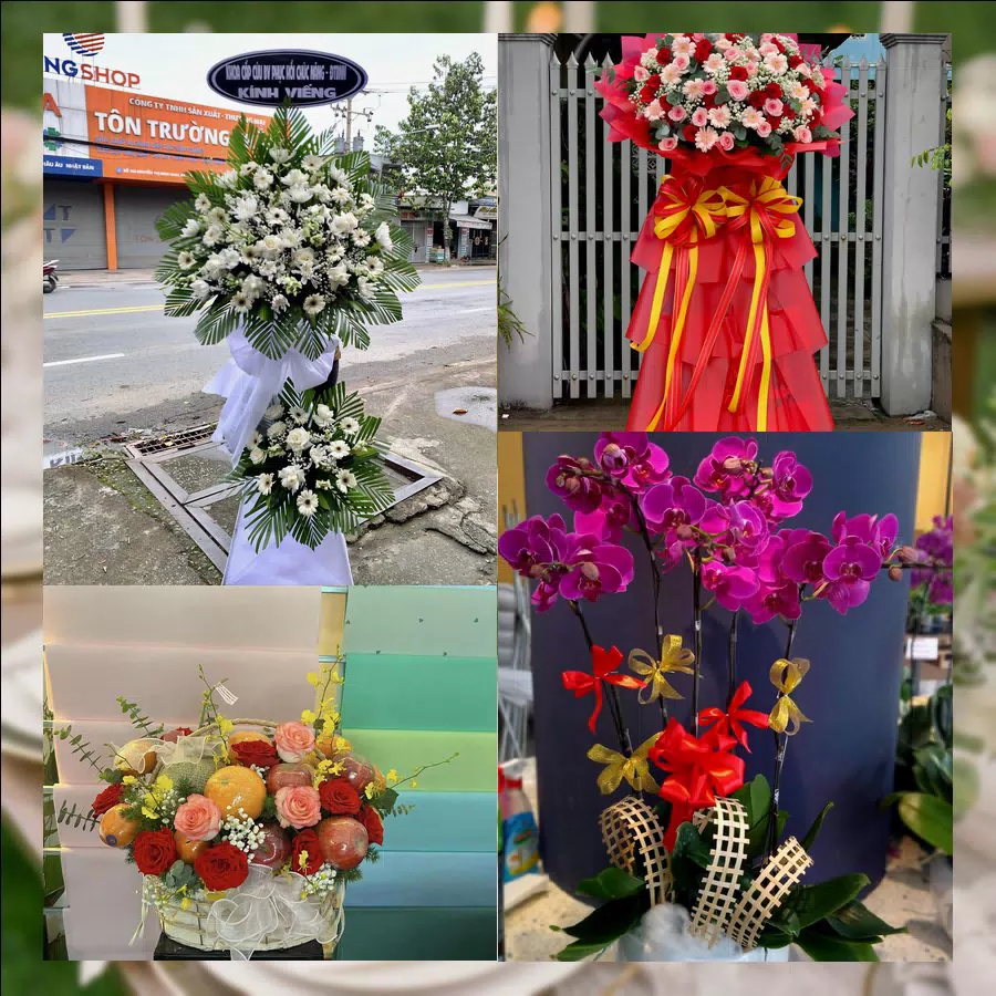 Mẫu hoa tươi tại Shop Hoa Tươi Xã Tân Hương, Đồng Tháp