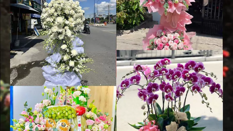Shop Hoa Tươi Xã Vân Đình - Thành phố Hà Nội