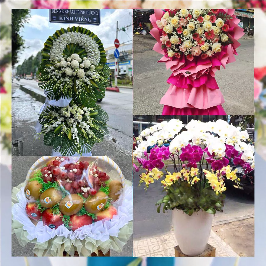 Mẫu hoa tươi tại Shop Hoa Tươi Xã Vân Đình, Hà Nội