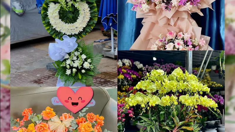 Shop Hoa Tươi Xã Cổ Đô - Thành phố Hà Nội