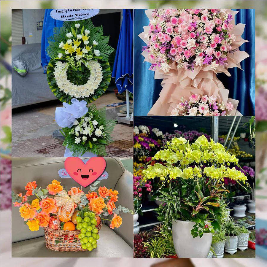 Shop Hoa Tươi Xã Cổ Đô - Thành phố Hà Nội