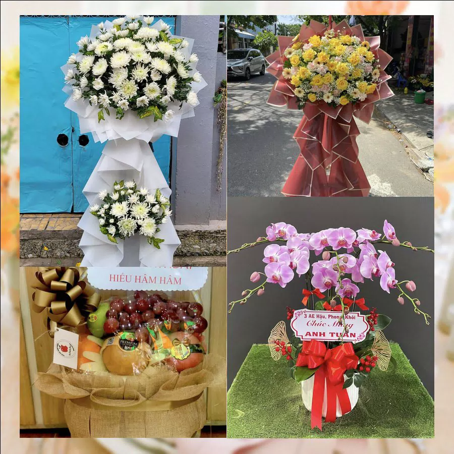 Shop Hoa Tươi Phường Hội An - Thành phố Đà Nẵng