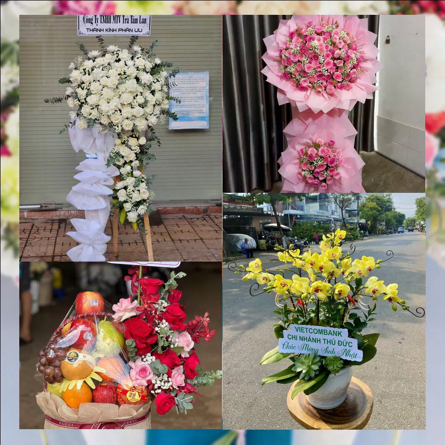 Mẫu hoa tươi tại Shop Hoa Tươi Phường Hội An, Đà Nẵng