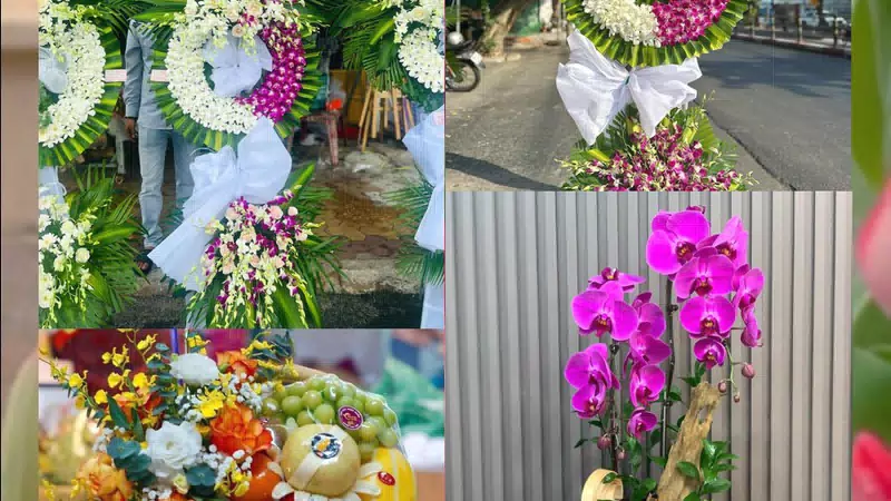 Shop Hoa Tươi Phường Phú Khương - Tỉnh Vĩnh Long