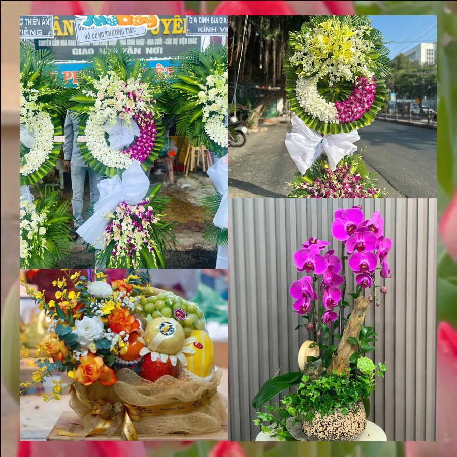 Shop Hoa Tươi Phường Phú Khương - Tỉnh Vĩnh Long