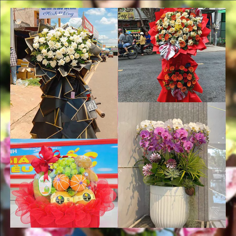 Mẫu hoa tươi tại Shop Hoa Tươi Phường Phú Khương, Vĩnh Long