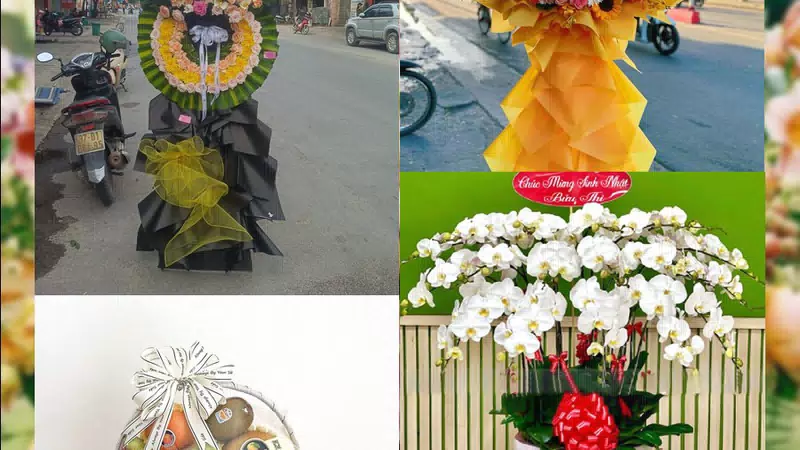 Shop Hoa Tươi Phường Nam Đông Hà - Tỉnh Quảng Trị