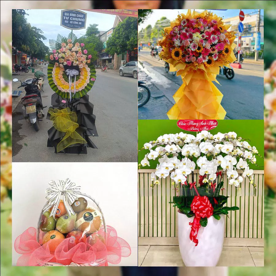 Shop Hoa Tươi Phường Nam Đông Hà - Tỉnh Quảng Trị