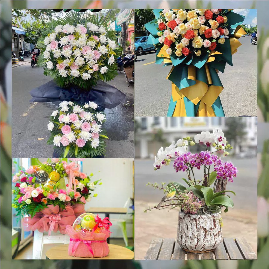 Mẫu hoa tươi tại Shop Hoa Tươi Phường Nam Đông Hà, Quảng Trị