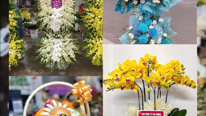 Shop Hoa Tươi Phường Đông Tiến - Tỉnh Thanh Hóa