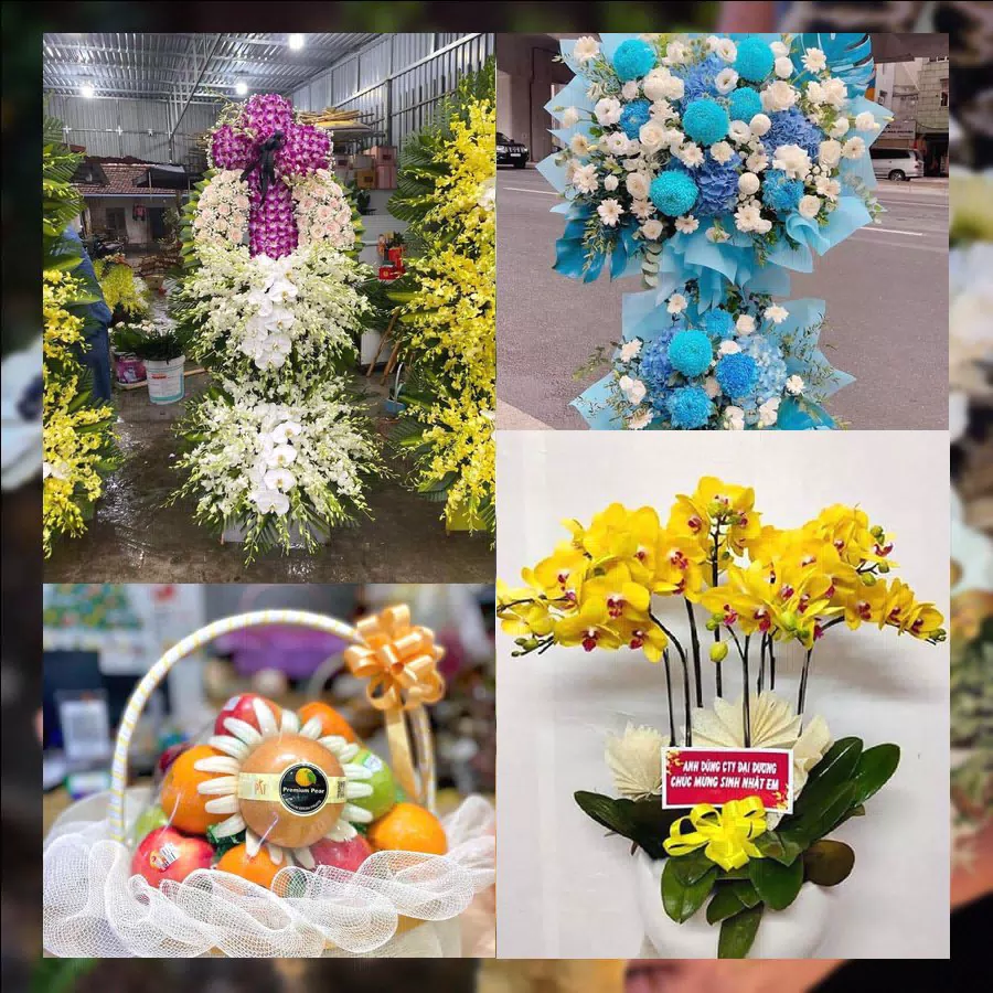 Shop Hoa Tươi Phường Đông Tiến - Tỉnh Thanh Hóa
