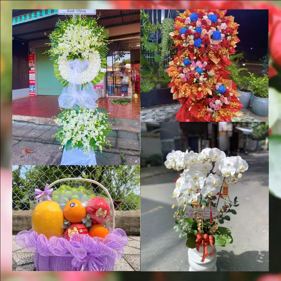 Mẫu hoa tươi tại Shop Hoa Tươi Phường Đông Tiến, Thanh Hóa