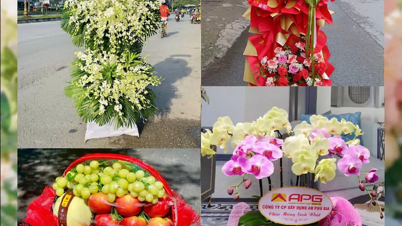 Shop Hoa Tươi Xã Tịnh Khê - Tỉnh Quảng Ngãi
