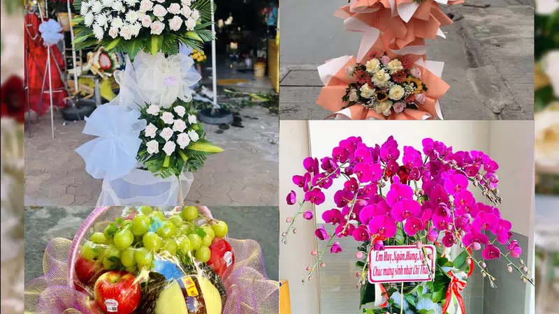 Shop Hoa Tươi Xã Hưng Đạo - Thành phố Hà Nội