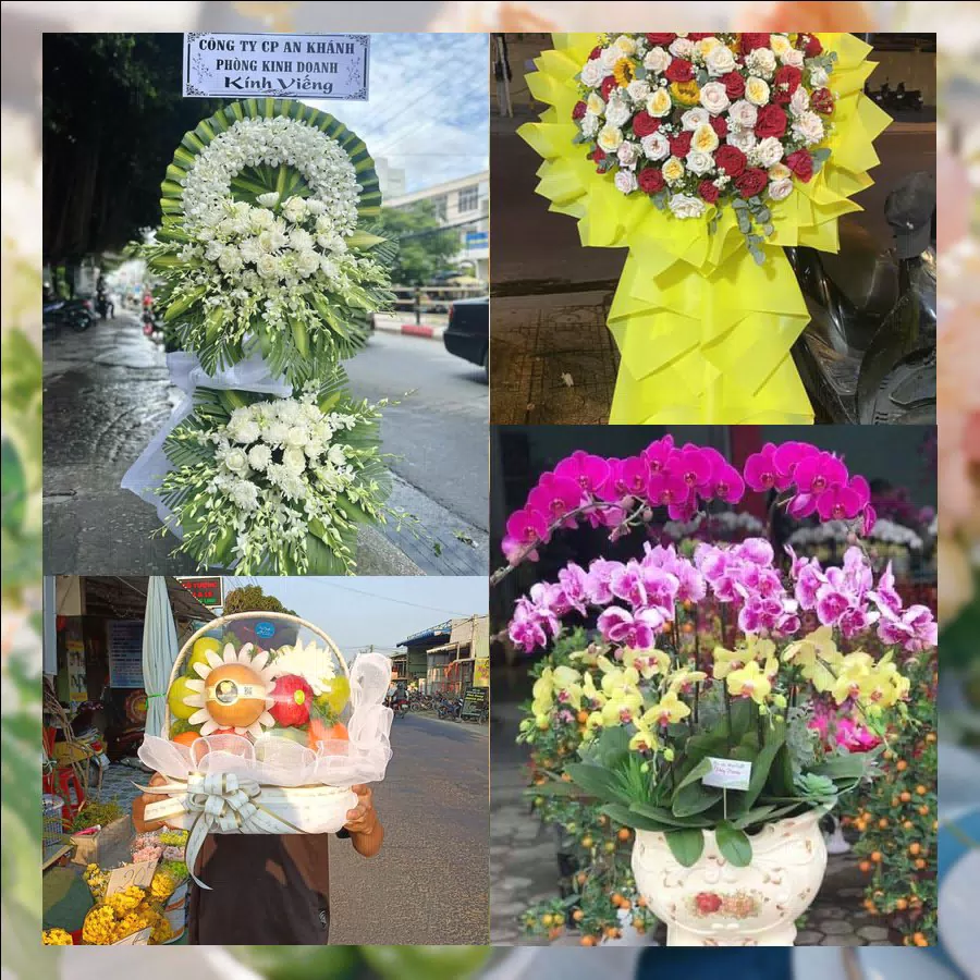 Mẫu hoa tươi tại Shop Hoa Tươi Phường Trảng Bàng, Tây Ninh