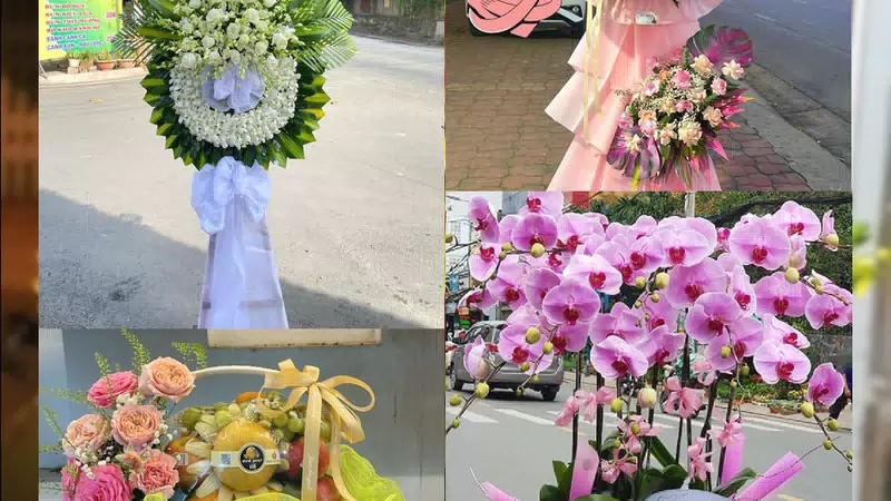 Shop Hoa Tươi Xã Xuân Mai - Thành phố Hà Nội