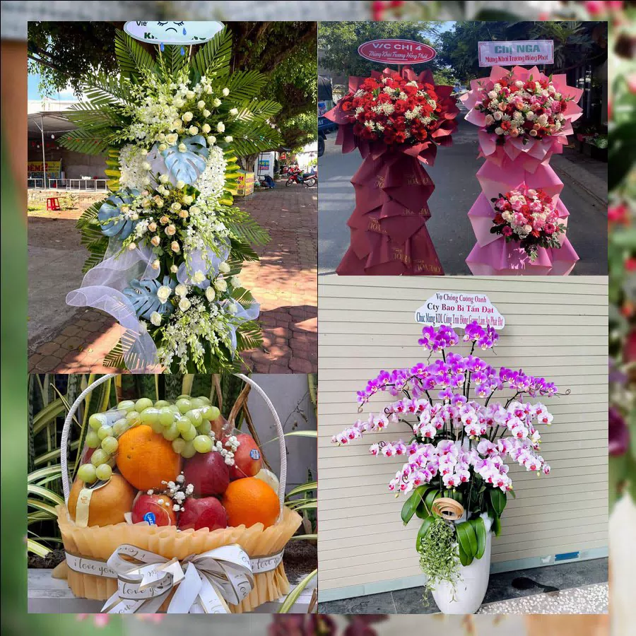 Mẫu hoa tươi tại Shop Hoa Tươi Phường Trà Lý, Hưng Yên