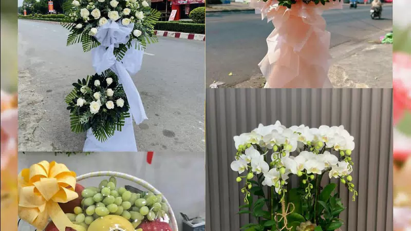 Shop Hoa Tươi Phường Đông Quang - Tỉnh Thanh Hóa