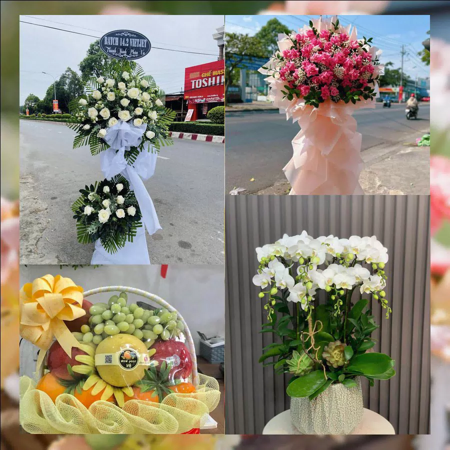 Shop Hoa Tươi Phường Đông Quang - Tỉnh Thanh Hóa