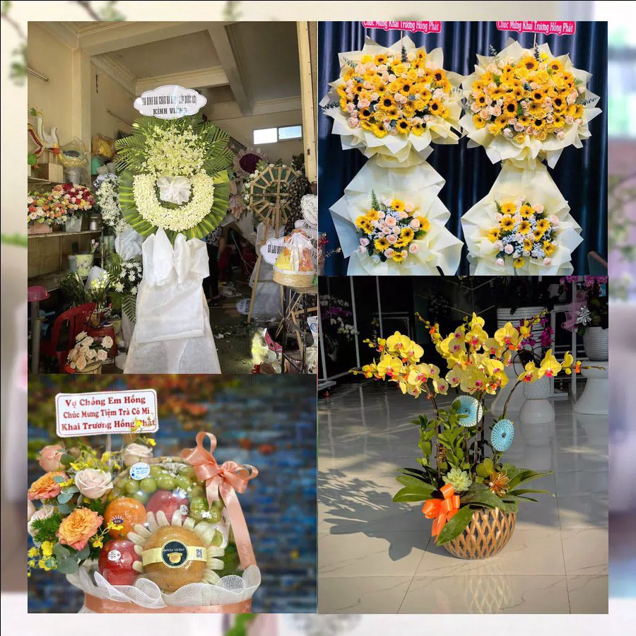 Mẫu hoa tươi tại Shop Hoa Tươi Phường Đông Quang, Thanh Hóa