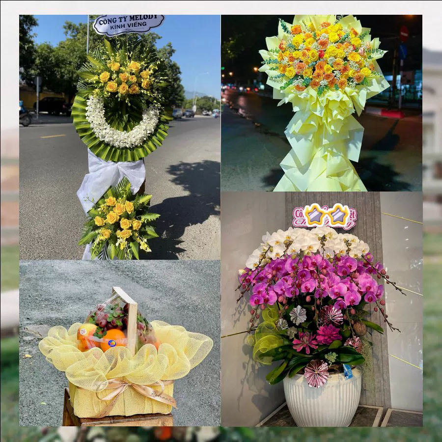 Shop Hoa Tươi Phường Phú An - Thành phố Hồ Chí Minh