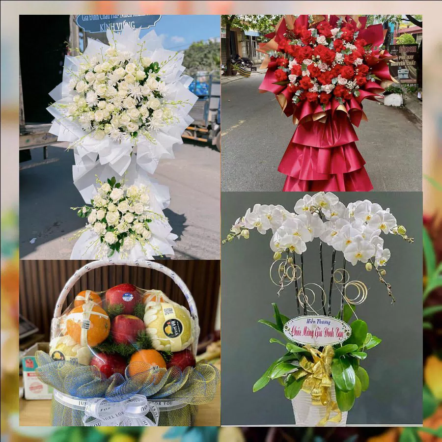 Mẫu hoa tươi tại Shop Hoa Tươi Phường Phú An, TP.HCM
