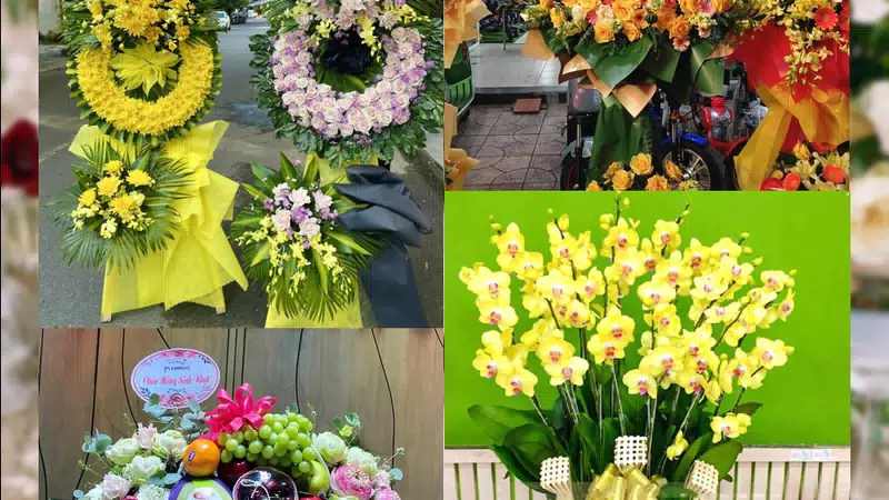 Shop Hoa Tươi Phường Mão Điền - Tỉnh Bắc Ninh