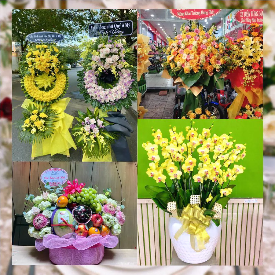 Shop Hoa Tươi Phường Mão Điền - Tỉnh Bắc Ninh