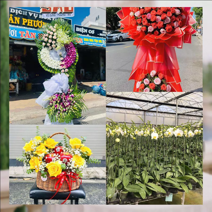 Mẫu hoa tươi tại Shop Hoa Tươi Xã Trảng Bom, Đồng Nai