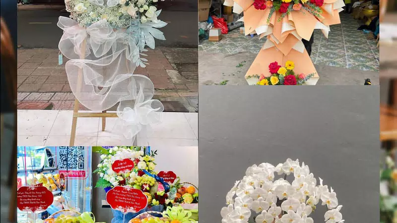 Shop Hoa Tươi Xã Hòa Phú - Thành phố Hà Nội