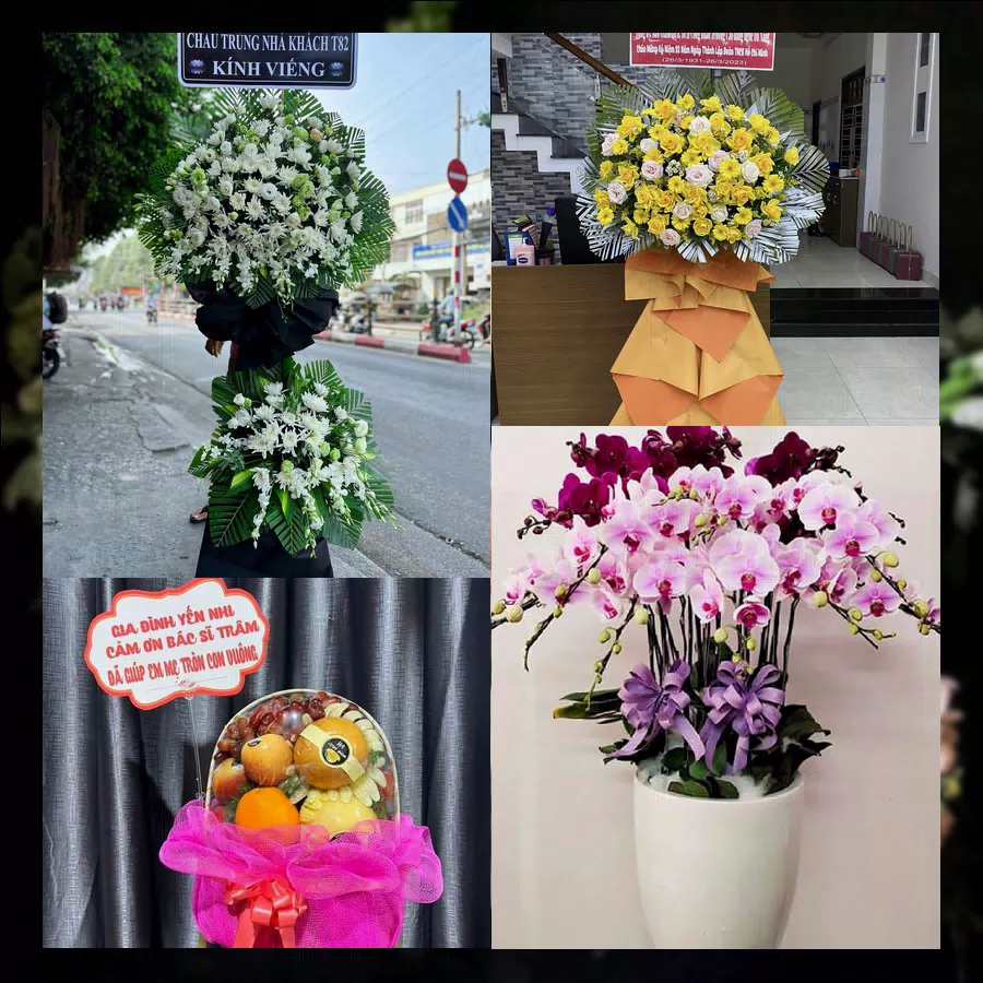 Mẫu hoa tươi tại Shop Hoa Tươi Xã Phượng Dực, Hà Nội