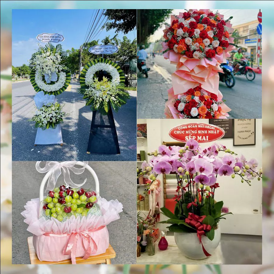 Mẫu hoa tươi tại Shop Hoa Tươi Phường Hưng Đạo, Hải Phòng