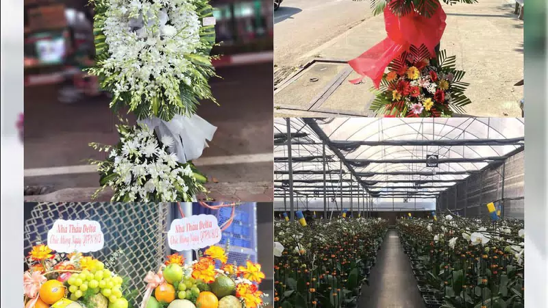 Shop Hoa Tươi Xã Hải Hưng - Tỉnh Ninh Bình