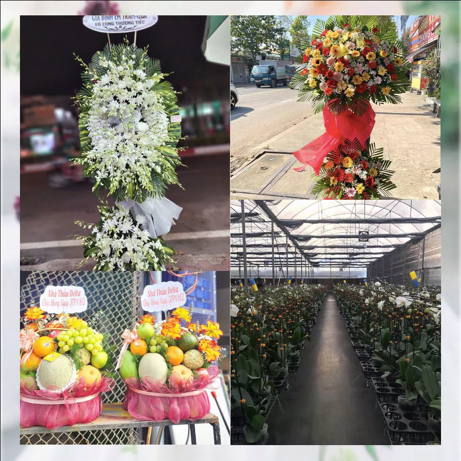 Shop Hoa Tươi Xã Hải Hưng - Tỉnh Ninh Bình