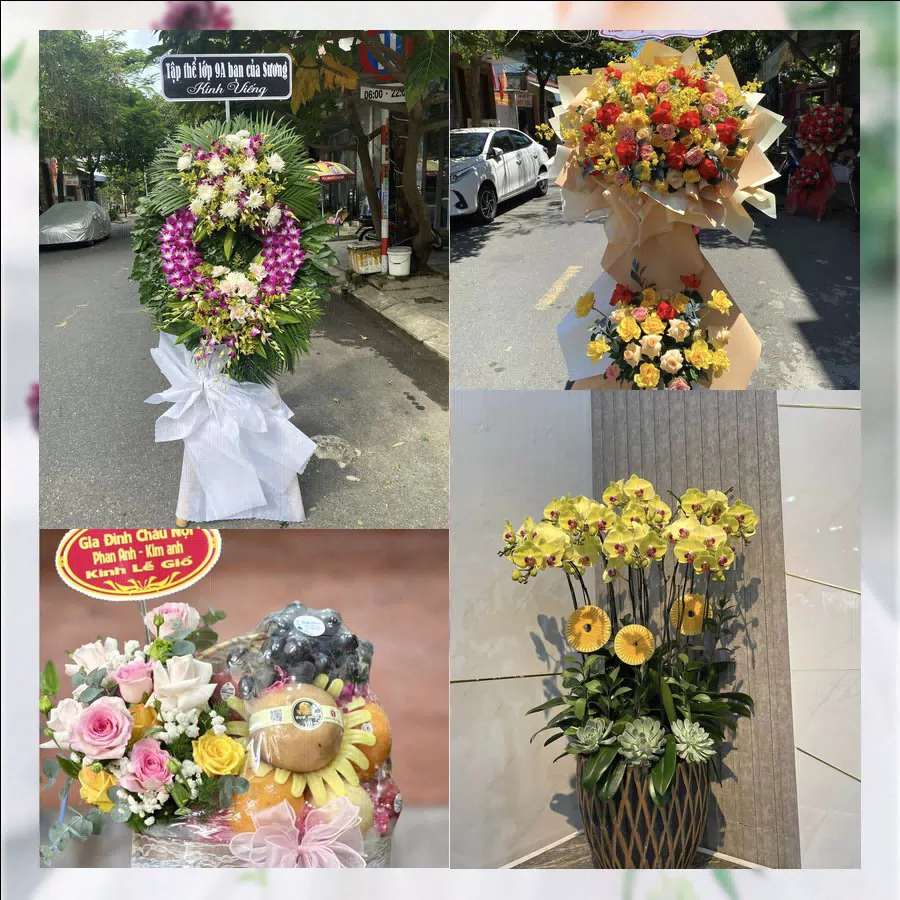 Shop Hoa Tươi Xã Xuân Hưng - Tỉnh Ninh Bình