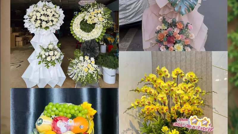 Shop Hoa Tươi Phường Lưu Kiếm - Thành phố Hải Phòng