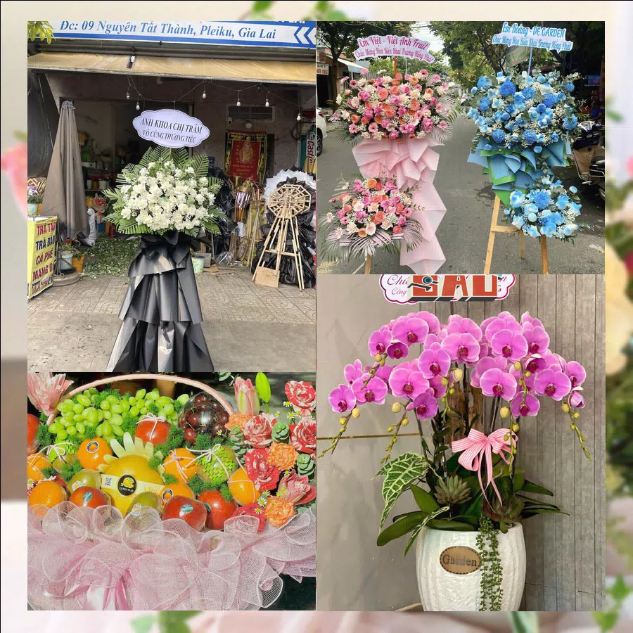 Kệ lan hồ điệp tươi giao tại Xã Ứng Thiên