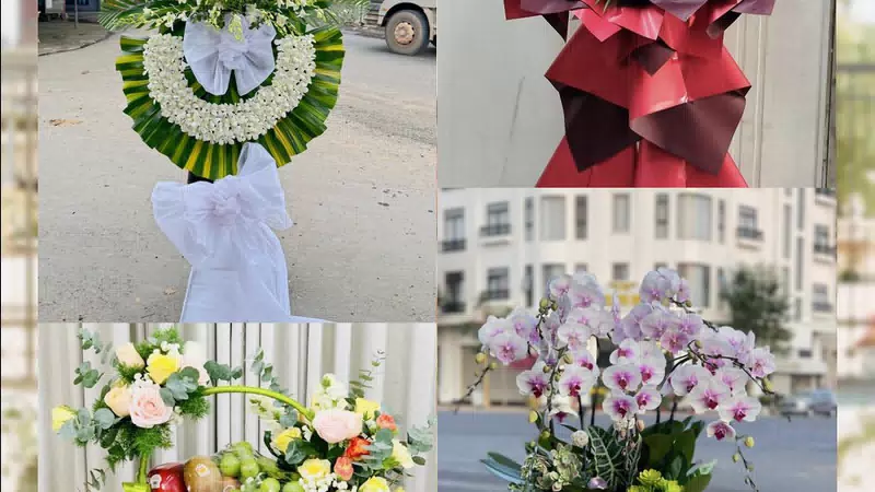 Shop Hoa Tươi Phường Bình Cơ - Thành phố Hồ Chí Minh