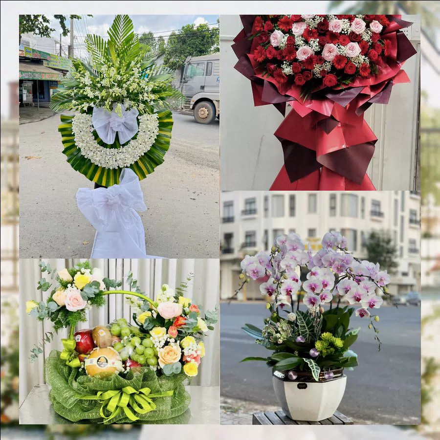 Shop Hoa Tươi Phường Bình Cơ - Thành phố Hồ Chí Minh