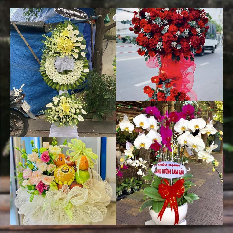 Mẫu hoa tươi ThuyHoaTuoi.Com giao tận nơi tại Phường Bình Cơ, TP.HCM